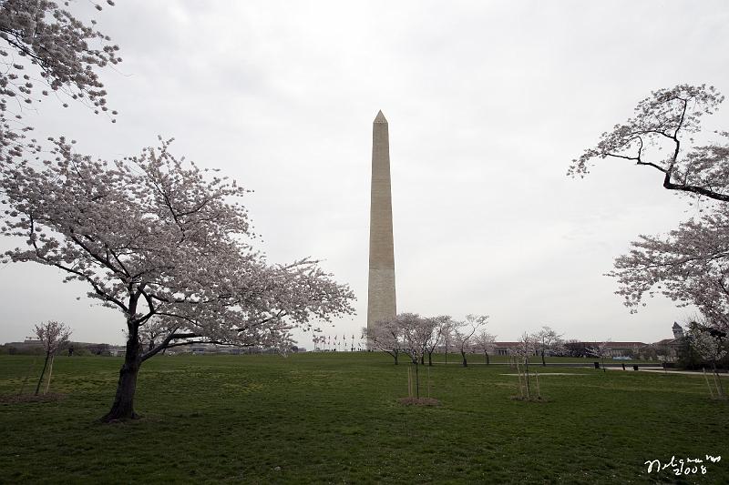 20080403_112542 D3 P.jpg - Washington Monument